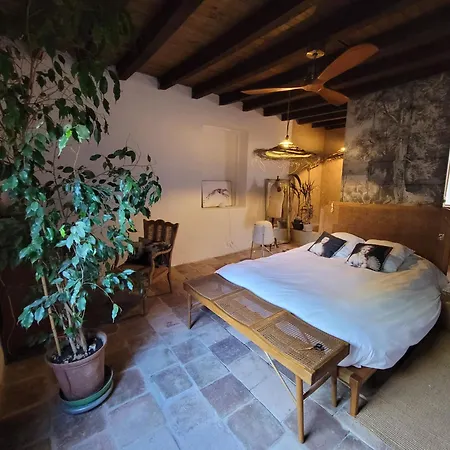 Relax En Casona Unica Lanueva Patio Compartido