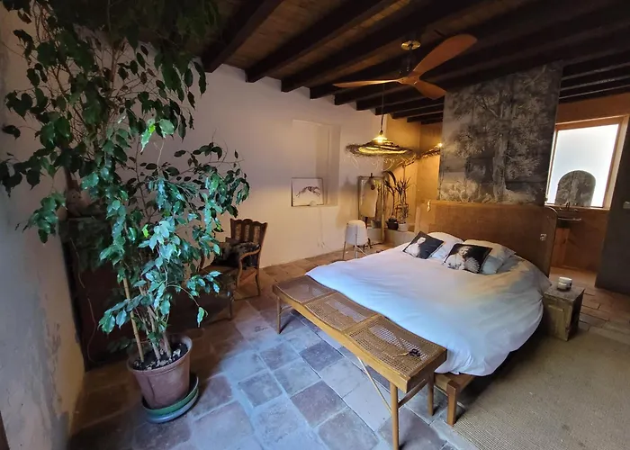 Relax En Casona Unica Lanueva Patio Compartido